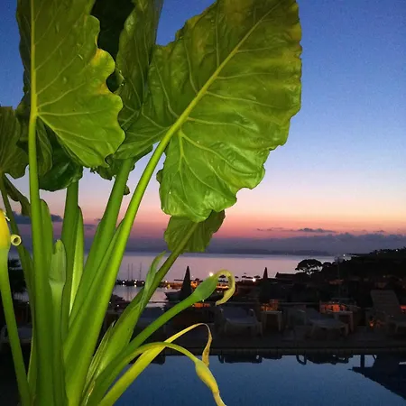 Hotel Pithaecusa Casamicciola Terme